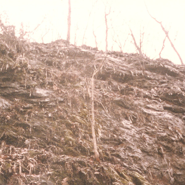 Spiid / Nova Scotian Arms