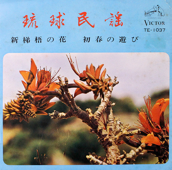 新梯梧の花 / 初春の遊び