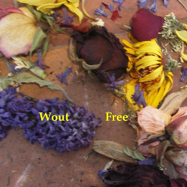 Free
