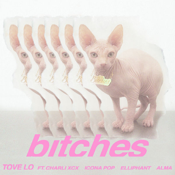 Bitches