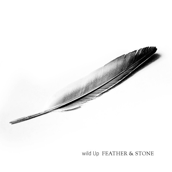 Feather And Stone