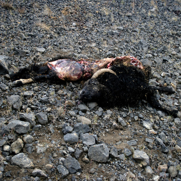 Lífið Er Lygi