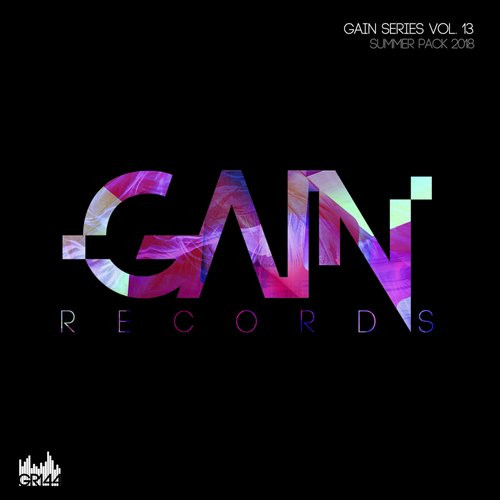 Gain Series Vol. 13