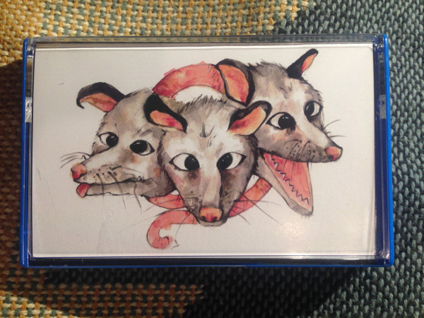 Opossums