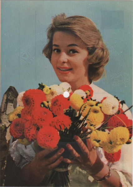 Melodie D'amour