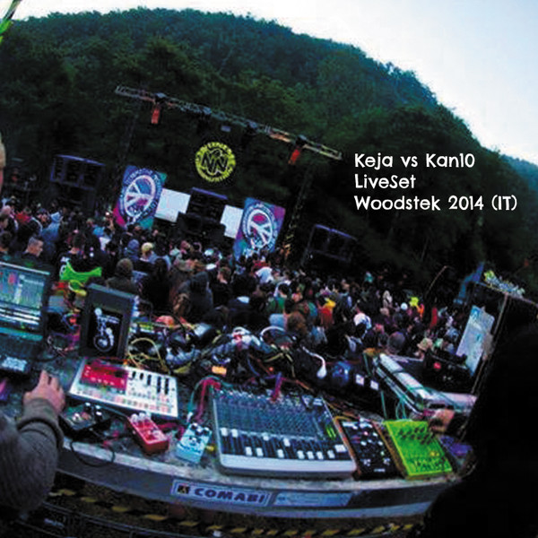 Live At Woodstek 2014