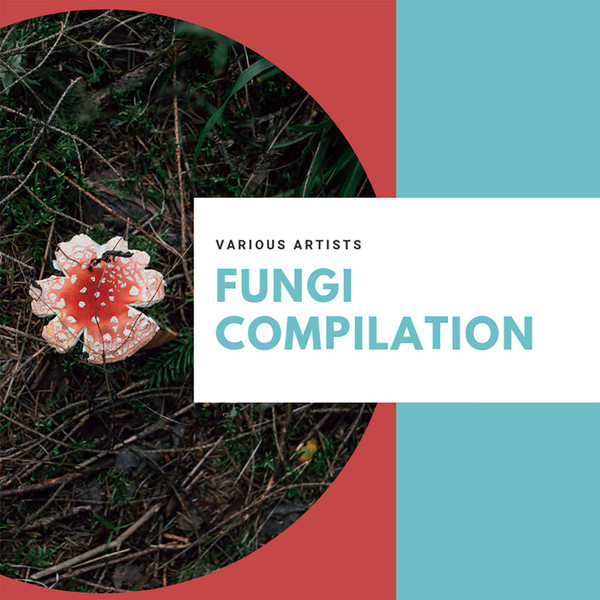 Fungi Compilation