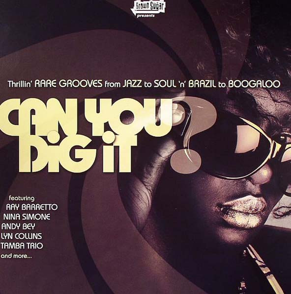 Can You Dig It? (Thrillin' Rare Grooves From Jazz To Soul 'n' Brazil To Boogaloo)