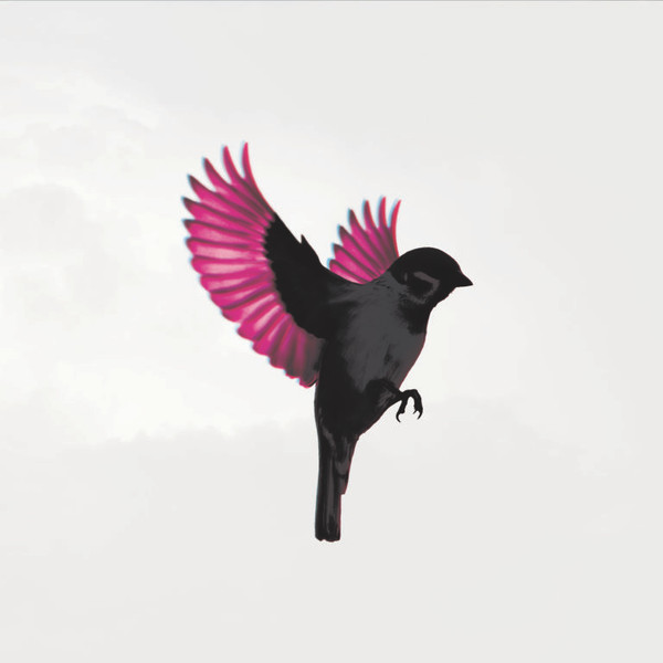 Sparrow