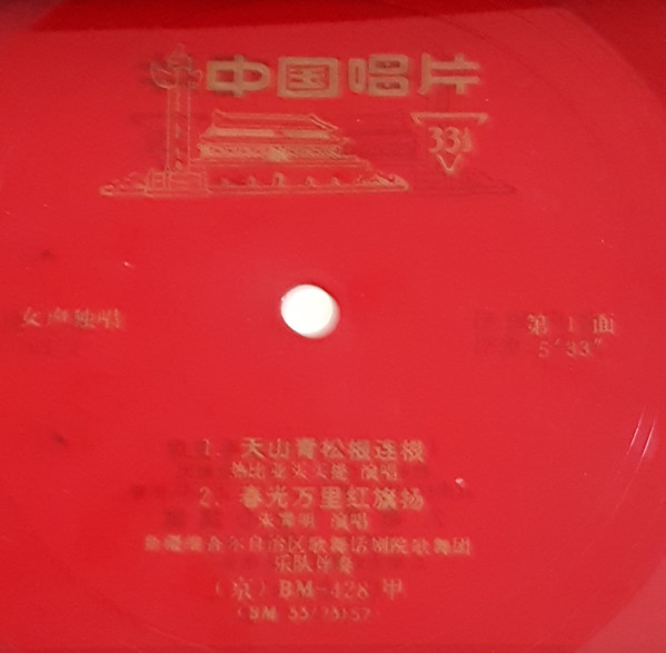 天山青松根连根