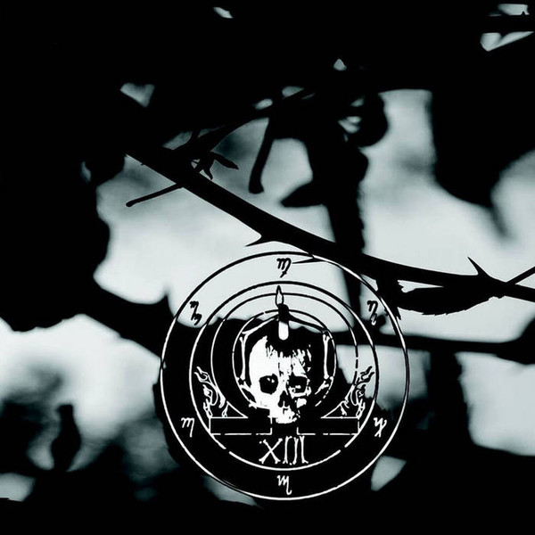 Through A Splintered Window