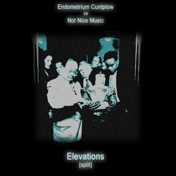 Elevations Split
