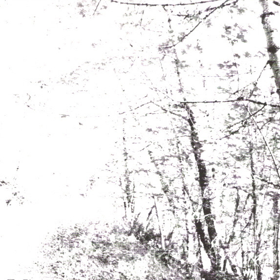 The White EP