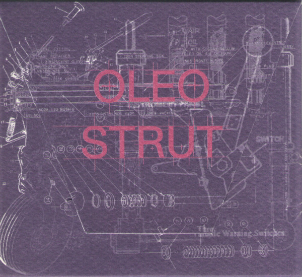 Oleo Strut