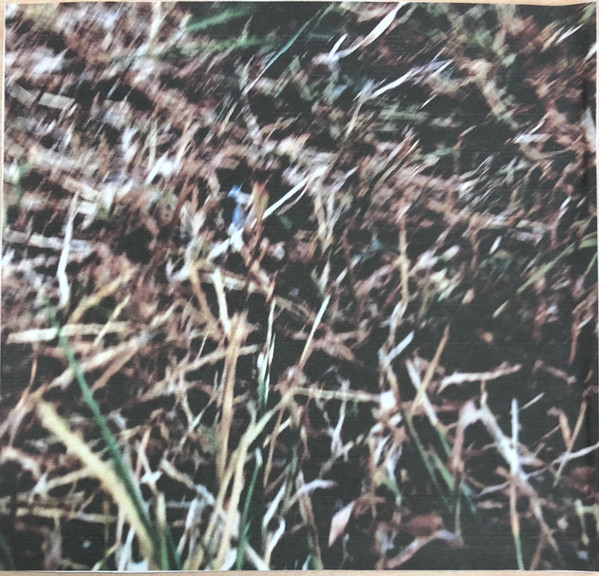 Sleeping Above The Dry Grassland