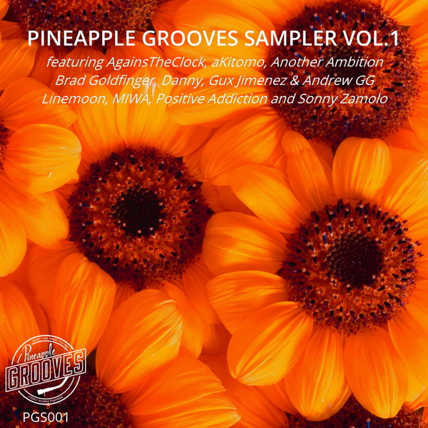 Pineapple Grooves Sampler Vol. 1