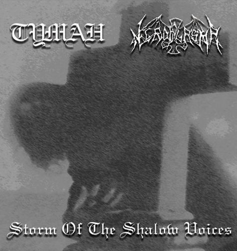 Storm Of The Shallow Voices
