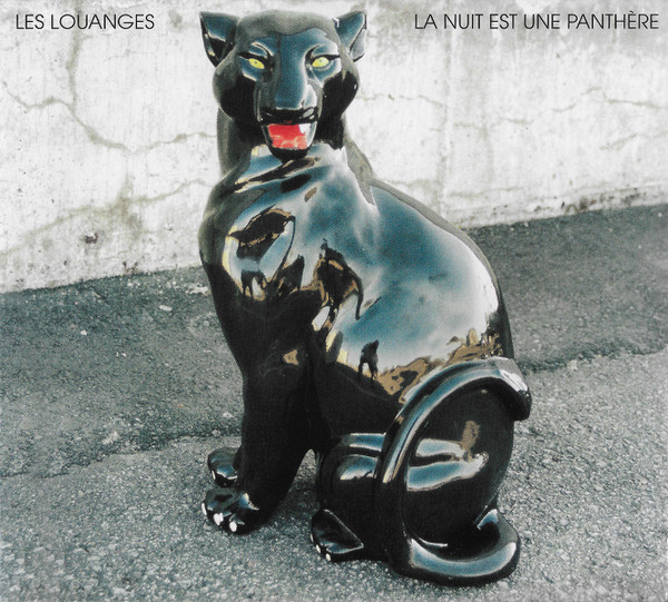 La Nuit Est Une Panthère