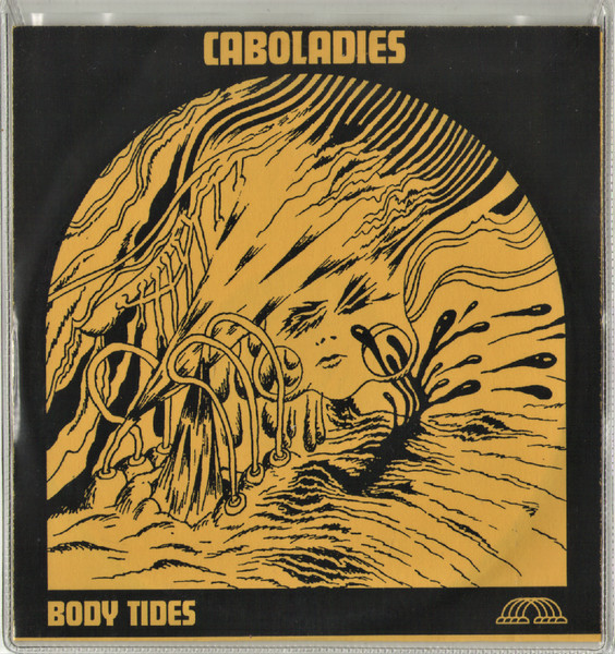 Body Tides