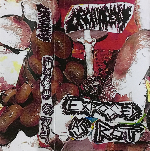 Orchiopexy / Exposed As Rot
