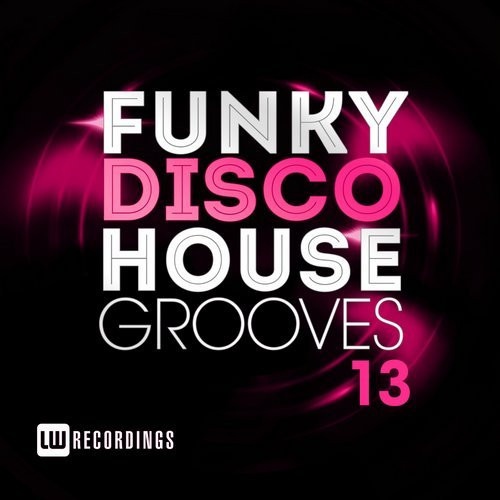 Funky Disco House Grooves 13