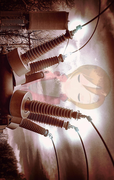 The Possessor