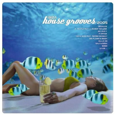 Ibiza House Grooves 2005