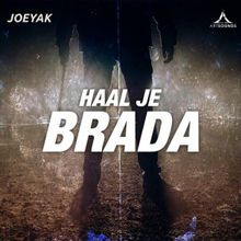 Haal Je Brada