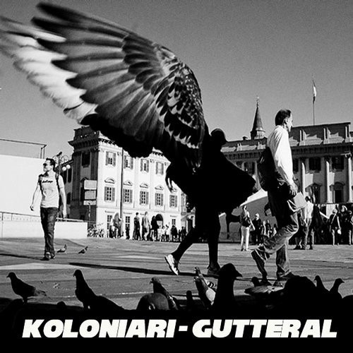 Guttelar 