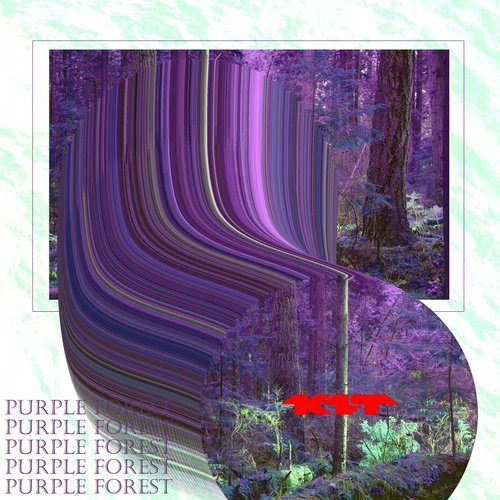Purple Forest