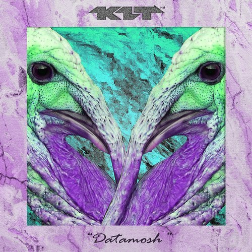 Datamosh