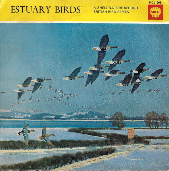Estuary Birds