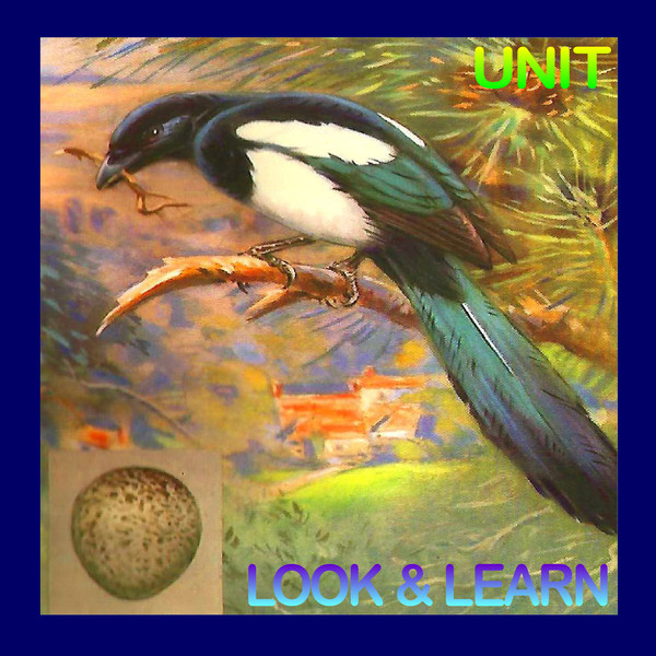 Look And Learn