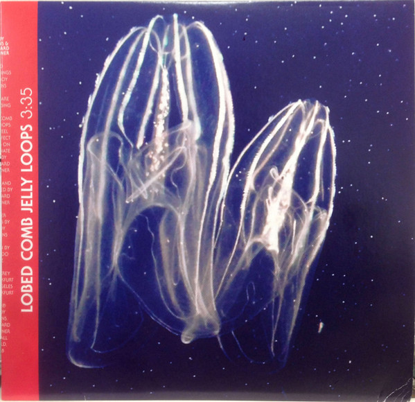 Lobed Comb Jelly Loops / Fortunate Isles