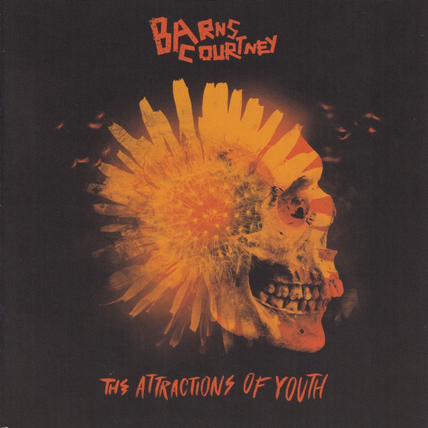 The Attractions Of Youth