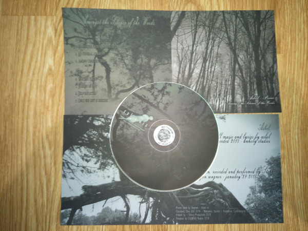 Amongst The Silence Of The Woods