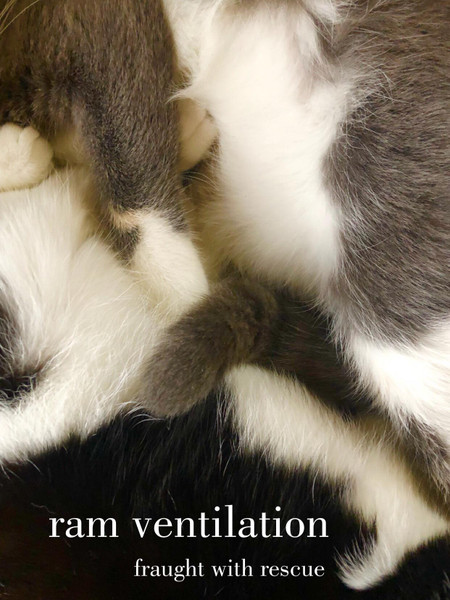 Fraught With Rescue