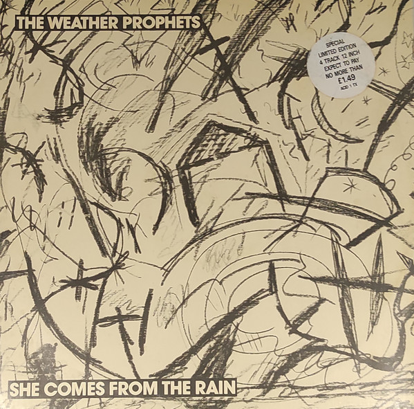 She Comes From The Rain
