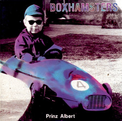 Prinz Albert
