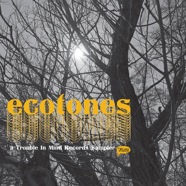 Ecotones: A Trouble In Mind Records Sampler