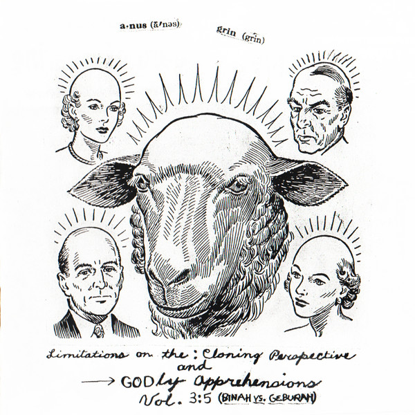 Limitations On The Cloning Perspective