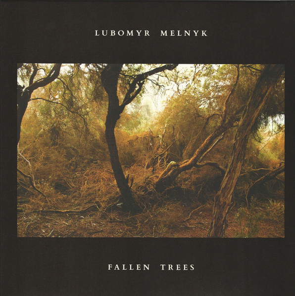Fallen Trees 