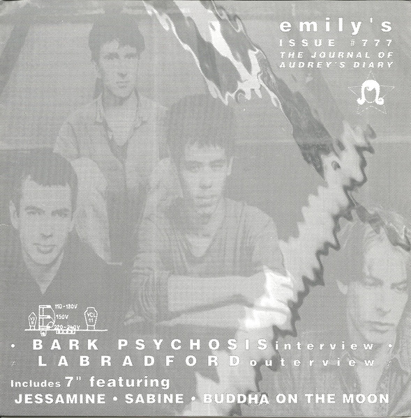 Emily's Issue #777 - The Journal Of Audrey's Diary