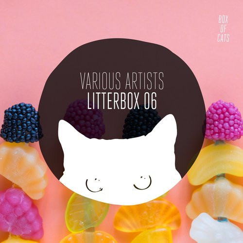 Litterbox 06