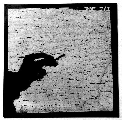 Sampler - Pou Pai
