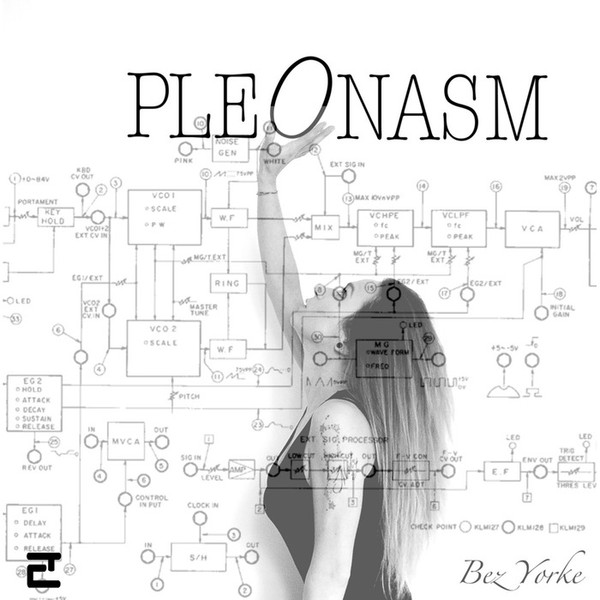 Pleonasm