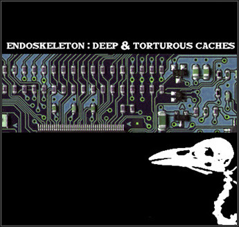 Deep & Torturous Caches