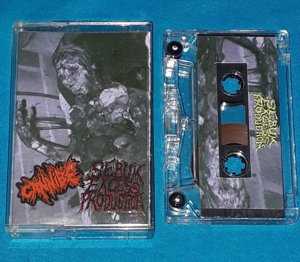 Cannibe / Sebum Excess Production