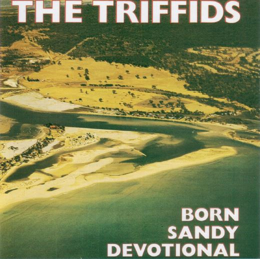 Born Sandy Devotional