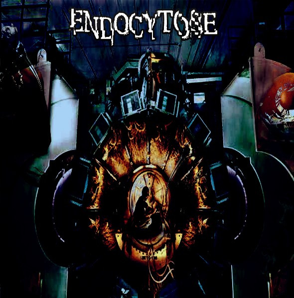 Endocytose